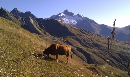 Alpages du Beaufortain